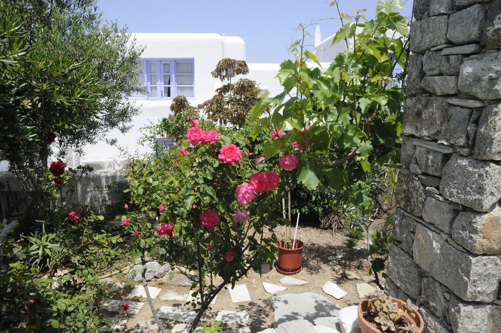 Andriani'S Guest House Mykonos Town Exteriör bild